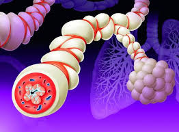 treat persistent asthma